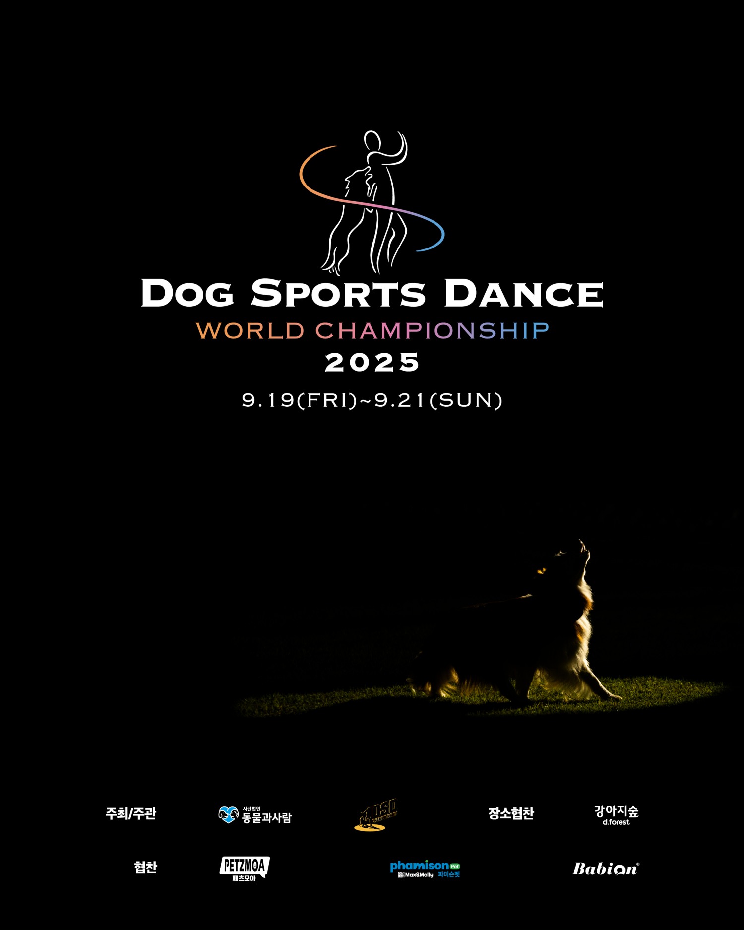 ‘제2회 DSD 월드 챔피언십' 개최