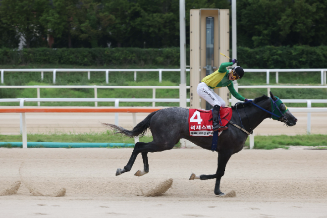 KRA컵 클래식 석세스백파와 진겸 기수가 결승선을 통과하고 있다. 사진=마사회