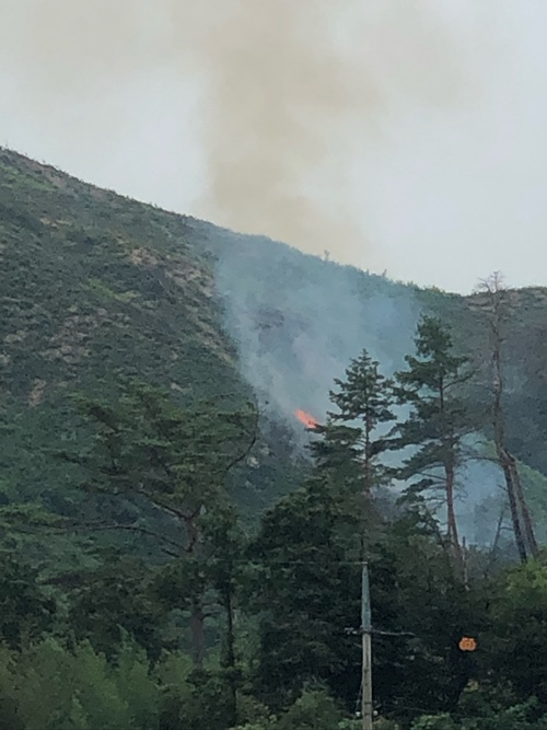 (사진제공=산림청)