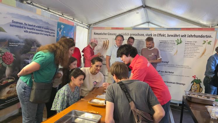 프랑크푸르트 박물관 강변축제 금산군 홍보부스 운영 모습