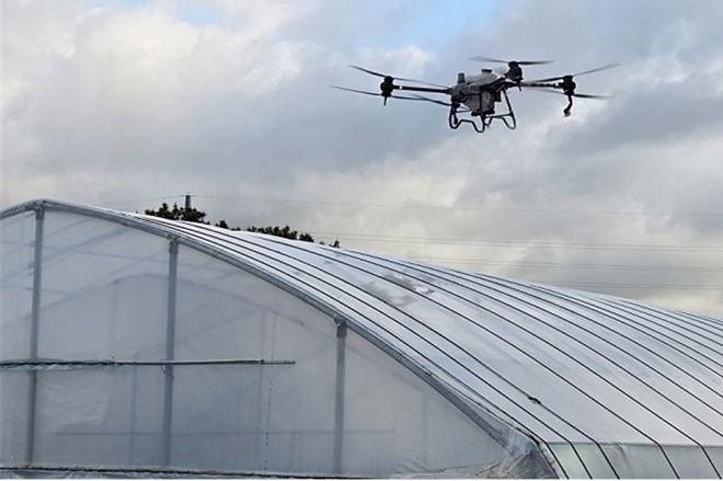 기장군이 드론을 활용한 차광도포제 살포 시범사업을 추진하고 있다.(제공=부산 기장군)