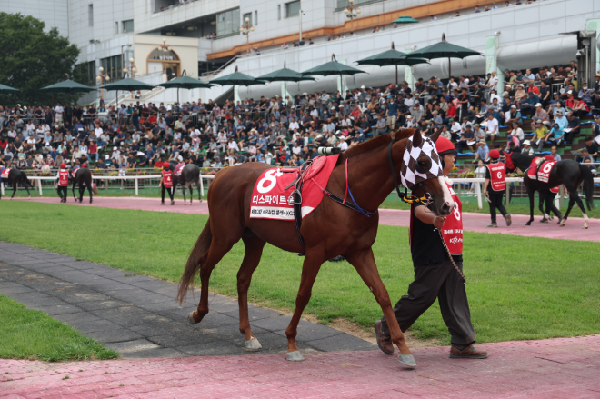 2025 OBS 코리아컵&코리아스프린트(IG3)서 3개국 대격돌