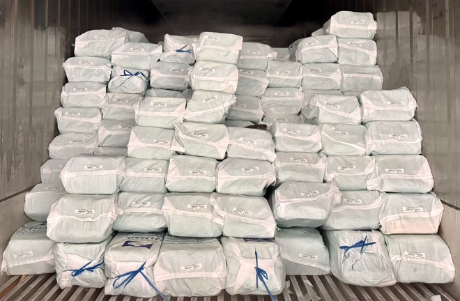 STX, 수산물 직수입 유통 사업 진출...첫 품목은 '냉동 대왕오징어'