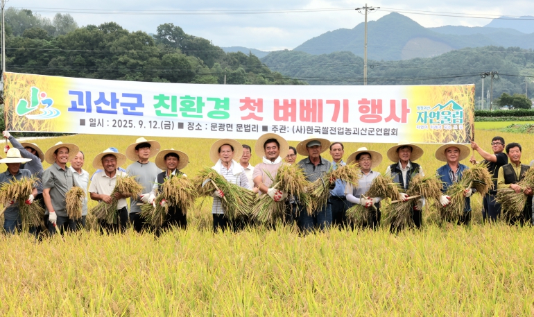 12일, 괴산군의 친환경 벼베기 행사에 참석한 송인헌 군수가 낫을 들고 직접 벼를 베며 수확의 기쁨을 함께하고 있다