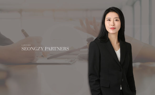 사진=정진아 변호사