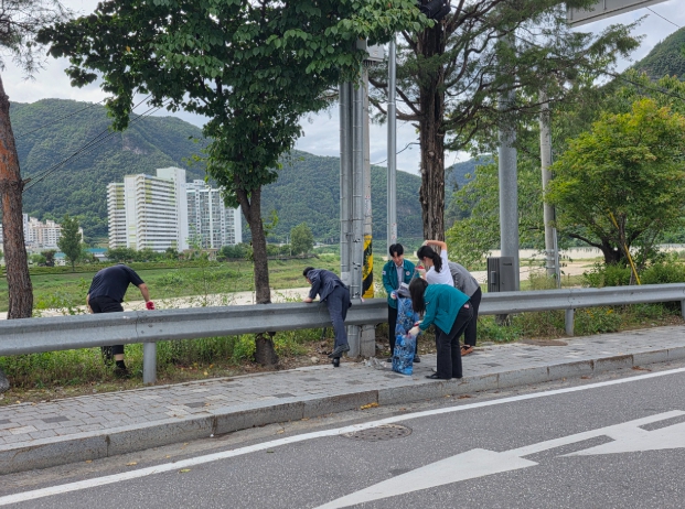 정선군, 추석맞이 국토대청결활동