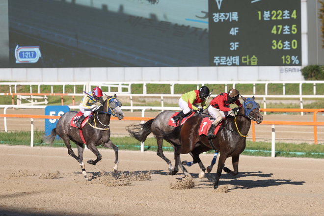 하반기 퀸즈투어 시작 제주특별자치도지사배, 보령라이트퀸 우승