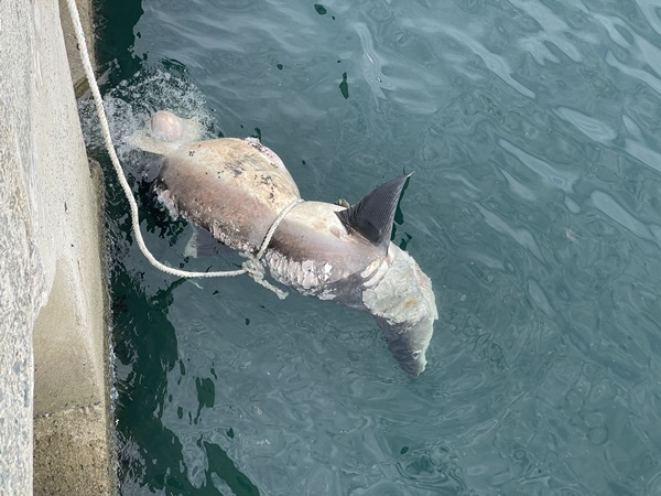 (사진제공=부산해경)