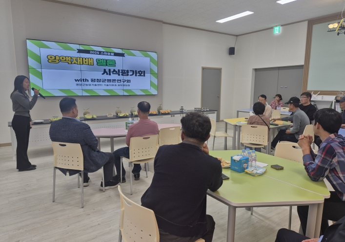 평창군, 스마트팜 양액재배 멜론 시식평가회 개최