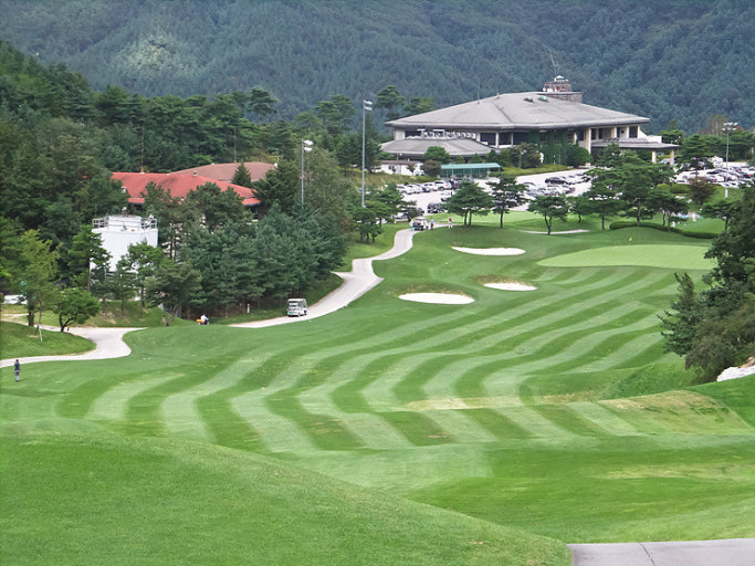 엑스골프, 포천 라운드 예약 24% 증가