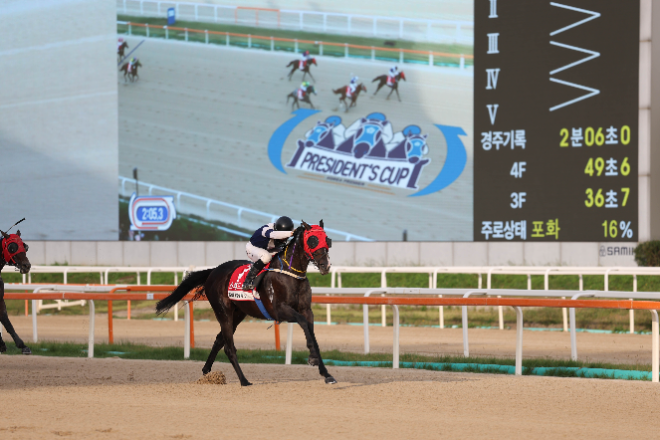 2025년 10월 한국경마 명장면...3년 만의 반전 드라마 주인공 ‘스피드영’