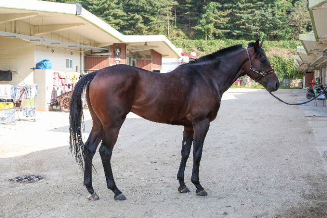 내달 2일 ‘제14회 서울경제신문배’ 개최... 4등급 유망주들의 승급 도전