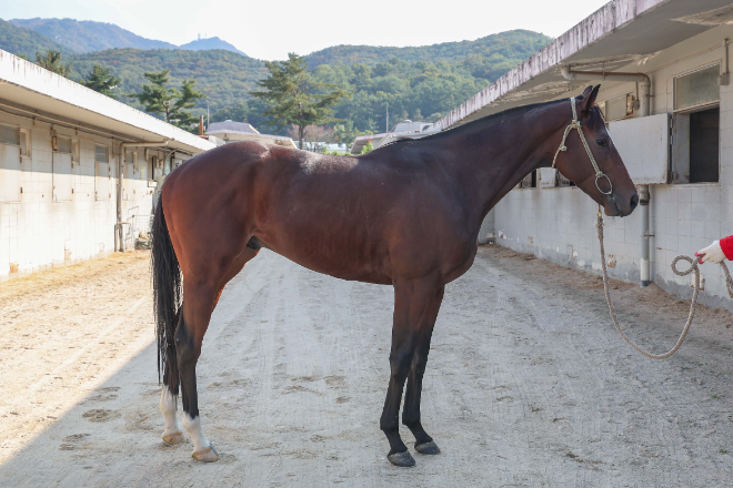 내달 2일 ‘제14회 서울경제신문배’ 개최... 4등급 유망주들의 승급 도전
