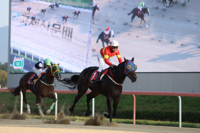 제18회 국제신문배 우승 문학보이...세대교체 신호탄?