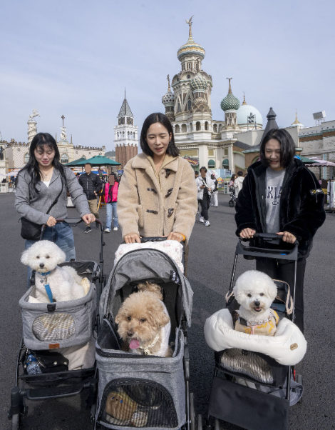 에버랜드, 반려견 동반 프로그램 '가을을 함께하개' 진행