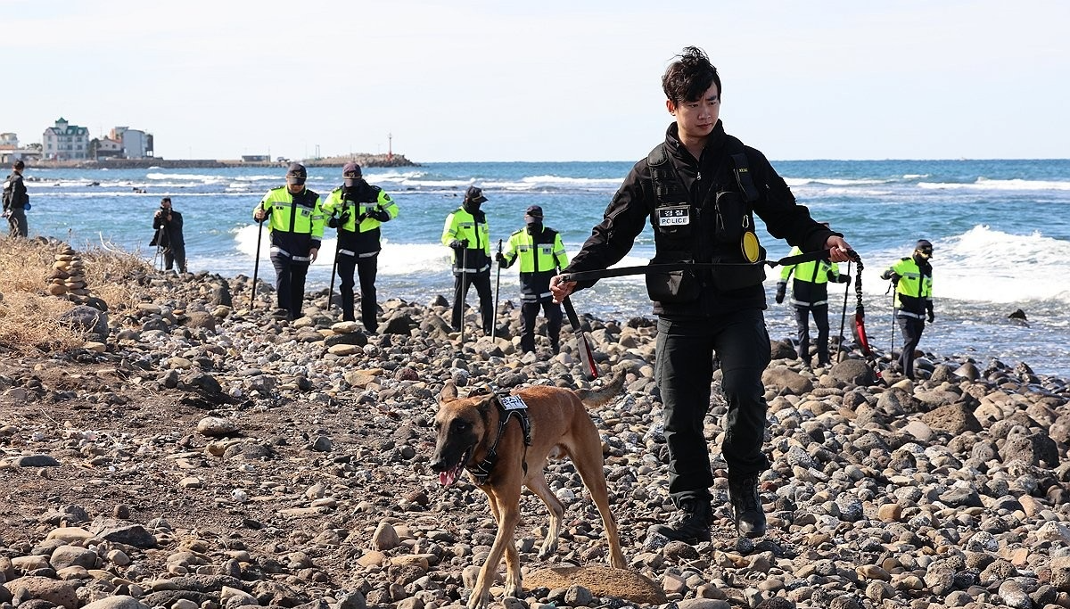 제주 해안가 마약 합동 수색(사진=연합뉴스)