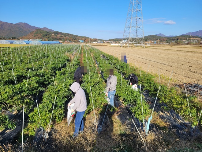 (사진제공=해남보호관찰소)