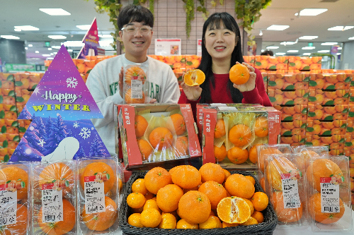 롯데마트, 내륙 감귤 충주 레드탄금향 출시