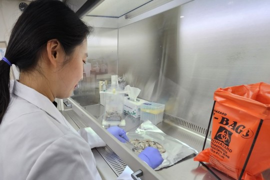 관련사진 / 인천시청