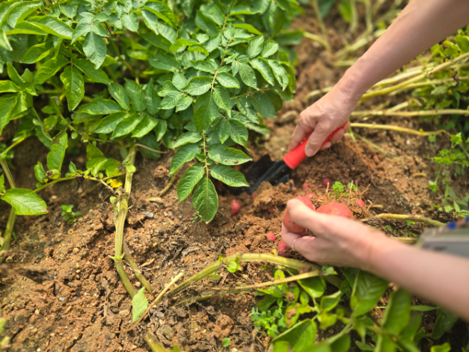 '2025 치유농업 전문프로그램’ / 경기도청