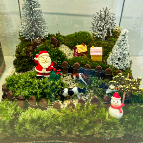 상하농원, 크리스마스 연말 겨울 프로그램 운영