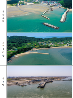 어항별 사진 / 인천시청