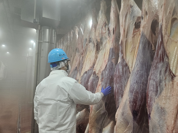 관련 사진 / 인천시청