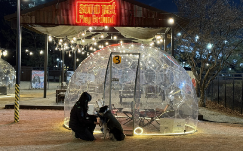 소노펫클럽앤리조트, 겨울 시즌 특별 프로그램 운영
