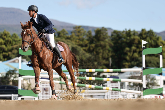 한국마사회, 2026년 은퇴경주마 승용전환 지원사업 1차 신청 접수