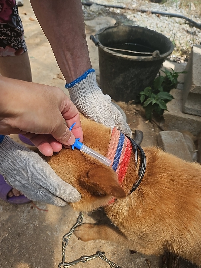 정읍시, 2026년 반려동물 등록비 지원… 취약계층 방문 접종도