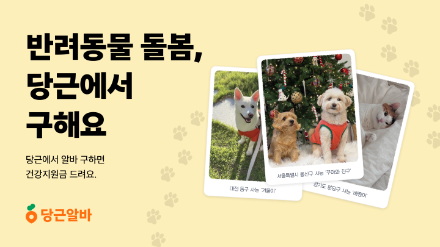 당근알바, 설 연휴 반려동물 돌봄 알바 프로모션 실시