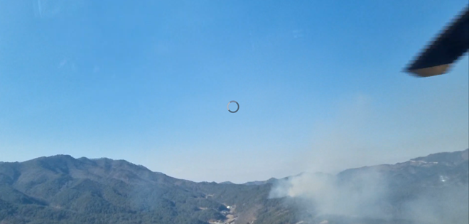 (사진제공=산림청)