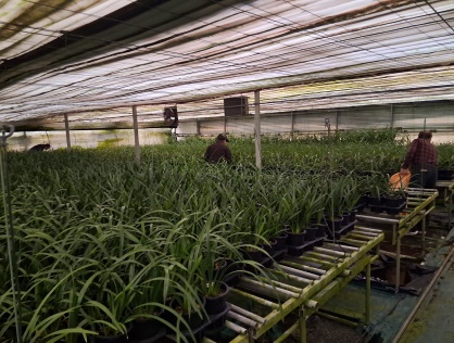 (사진제공=공주보호관찰소)