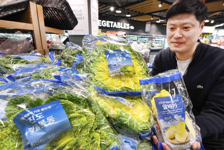 홈플러스, 산지 표기한 '진도 겨울 봄동' 매출 증가