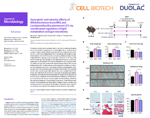 쎌바이오텍 듀오락 특허 유산균의 체지방 감소 기전 규명