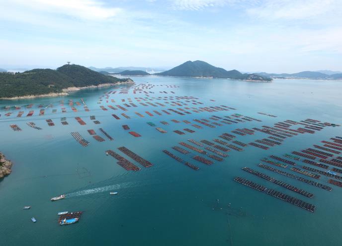 완도 전복 양식장 전경