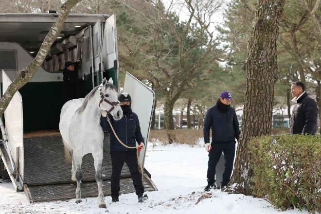 세계 챔피언 ‘닉스고’ 제주 입성… 한국마사회, 교배료 전액 무상 지원