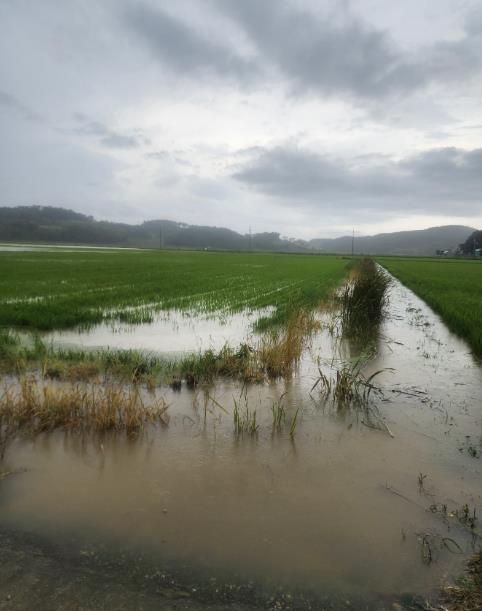 작년 7월 누동지구, 죽림지구 침수 피해 현장 모습