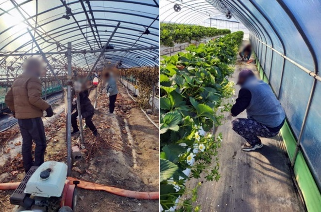 (사진제공=영덕보호관찰소)