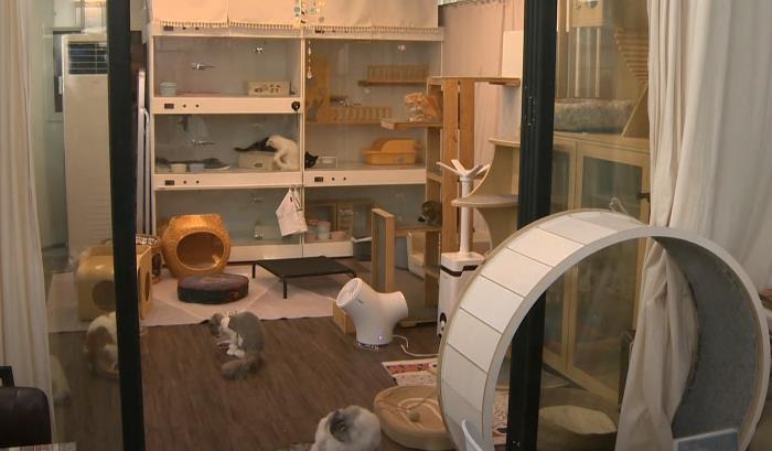 '우리동네 펫위탁소’에서 반려동물들을 위탁 보호하고 있는 모습