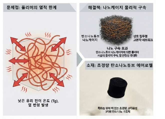 고분자 복합재의 열적 한계와 탄소나노튜브 나노케이지 기반 물리적 구속 개념. 사진=한국연구재단