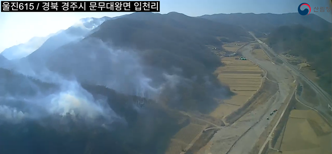 (사진제공=산림청)