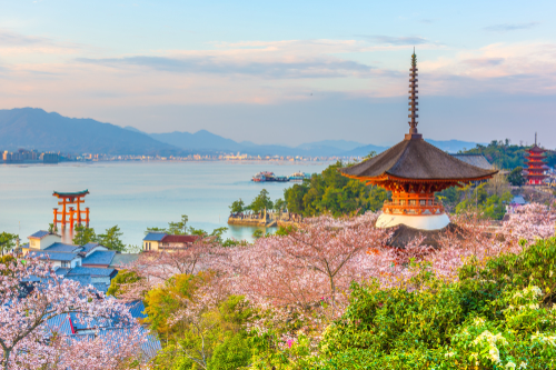모두투어, 일본 벚꽃 시즌 맞춤 여행 상품 기획전 출시