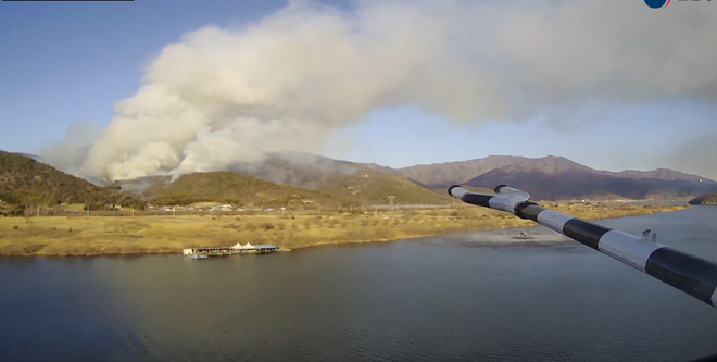 (사진제공=산림청)