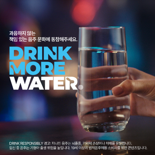 페르노리카 코리아, 책임음주 캠페인 6년간 5110만 명 도달