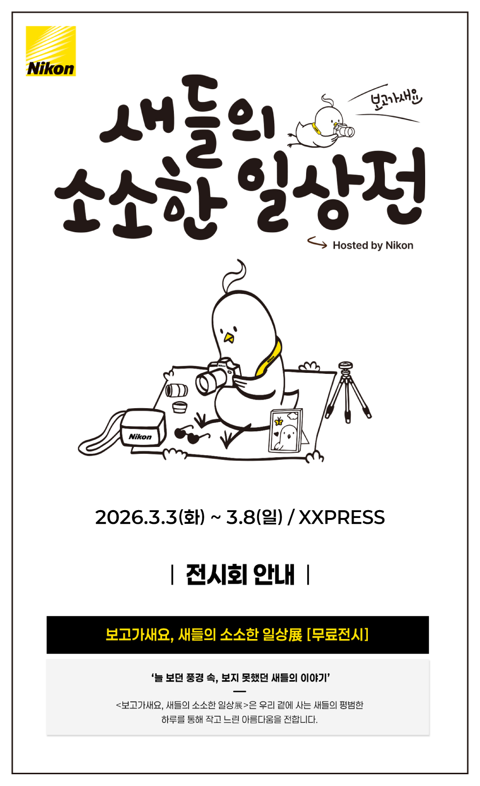 니콘이미징코리아, 조류 사진전 '새들의 소소한 일상전' 개최