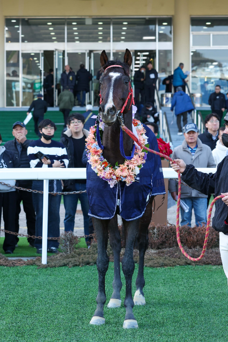 2026년 대상경주 첫 승 주인공 ‘스피드영’, 제24회 세계일보배(L) 우승