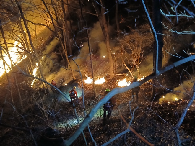 23일 새벽 경상남도 함양군 산불현장에서 산림청 산불재난특수진화대원이 진화에 총력을 기울이고 있다.(사진제공=산림청)