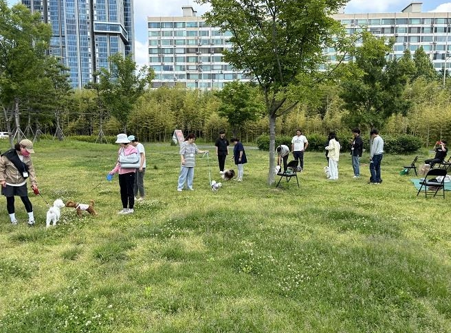용산구 반려견 산책 교육