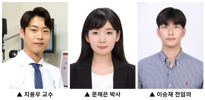 용인세브란스병원 연구팀, 망막 변화 통한 파킨슨병 조기 진단 가능성 제시